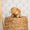 Nattou - Charlie Le Chien - Peluche Jacquard Jaune Caramel 30 Cm -Jouets En Peluche Boutique charlie20chien2020peluche20jacquard20jaune20caramel203020cm