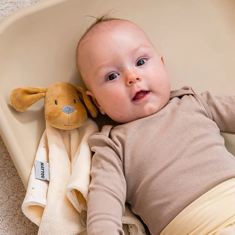 Nattou - Charlie Le Chien - Doudou Plat Jaune Vanille 25 Cm 5 Nattou - Charlie Le Chien - Doudou Plat Jaune Vanille 25 Cm â Image 3