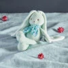 Kaloo - Lapinoo - Doudou Peluche Lapin Vert Acqua 25 Cm -Jouets En Peluche Boutique lapinoo2020peluche20lapin20vert20acqua202520cm