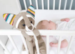 Zazu - Robin Le Raton Laveur - Doudou Musical Ou Bruit Blanc 50 Cm -Jouets En Peluche Boutique zazu2020robin20raton20laveur2020musical20ou20bruit20blanc205020cm 2